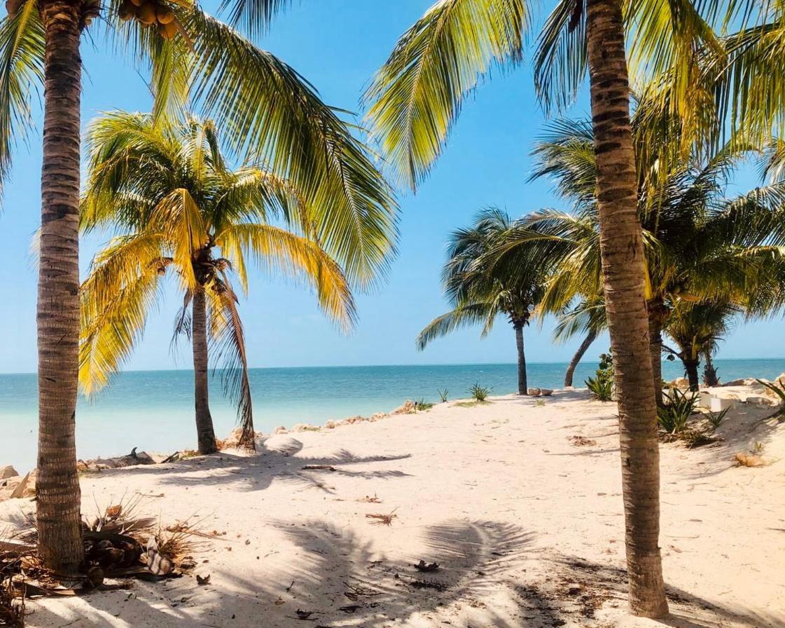 Corazon Mexicano Holbox Eksteriør billede